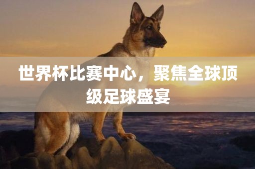世界杯比赛中心，聚焦全球顶级足球盛宴