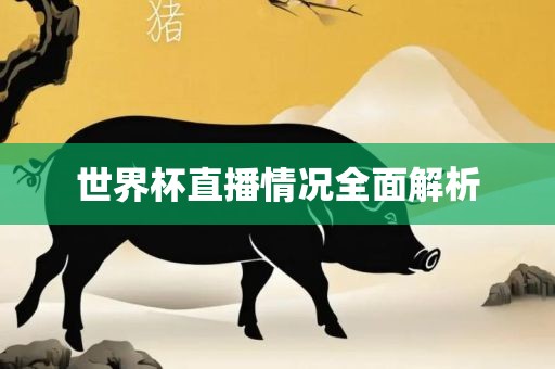 世界杯直播情况全面解析
