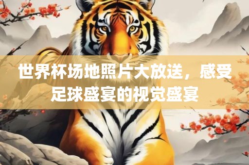 世界杯场地照片大放送，感受足球盛宴的视觉盛宴