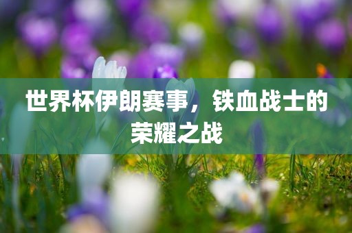 世界杯伊朗赛事，铁血战士的荣耀之战