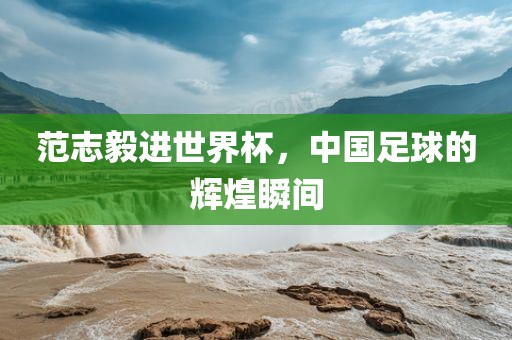 范志毅进世界杯，中国足球的辉煌瞬间