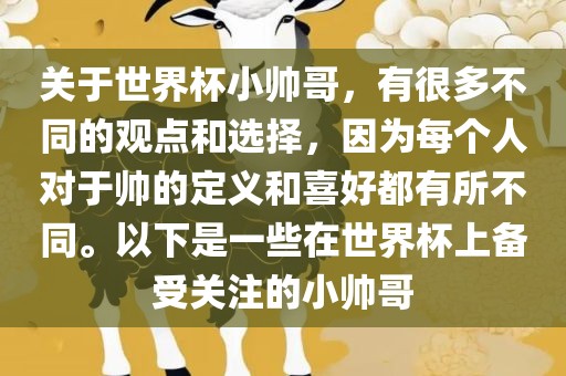 关于世界杯小帅哥，有很多不同的观点和选择，因为每个人对于帅的定义和喜好都有所不同。以下是一些在世界杯上备受关注的小帅哥