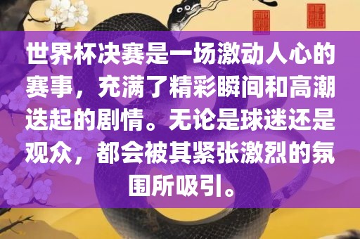 世界杯决赛是一场激动人心的赛事，充满了精彩瞬间和高潮迭起的剧情。无论是球迷还是观众，都会被其紧张激烈的氛围所吸引。