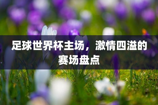 足球世界杯主场，激情四溢的赛场盘点