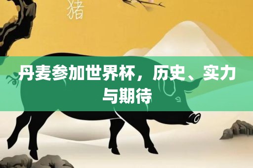丹麦参加世界杯，历史、实力与期待