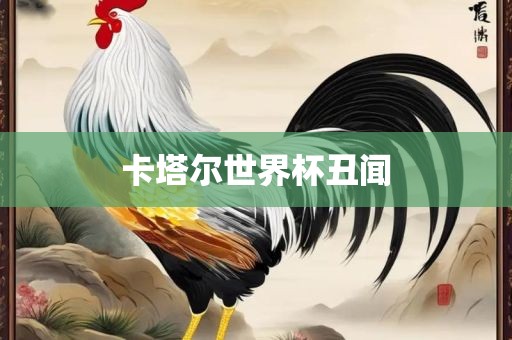 卡塔尔世界杯丑闻