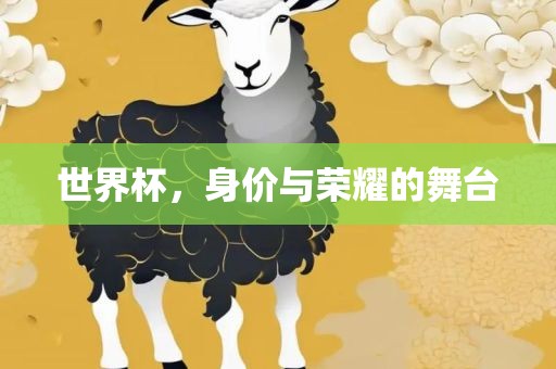 世界杯，身价与荣耀的舞台