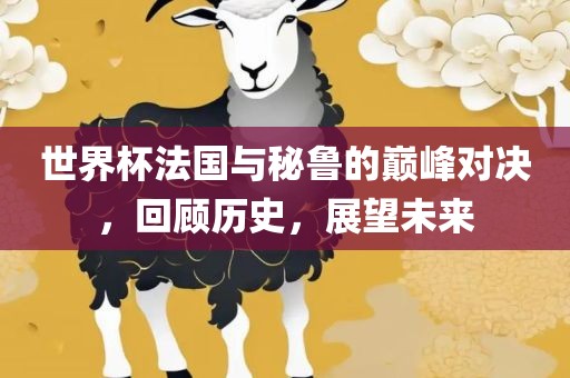 世界杯法国与秘鲁的巅峰对决，回顾历史，展望未来