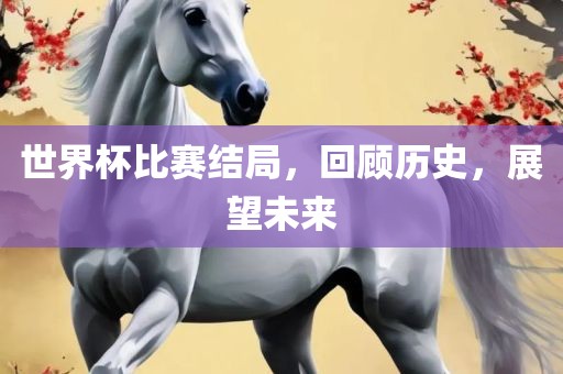 世界杯比赛结局，回顾历史，展望未来