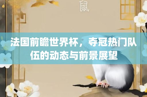 法国前瞻世界杯，夺冠热门队伍的动态与前景展望