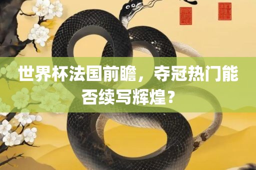 世界杯法国前瞻，夺冠热门能否续写辉煌？