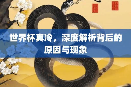 世界杯真冷，深度解析背后的原因与现象
