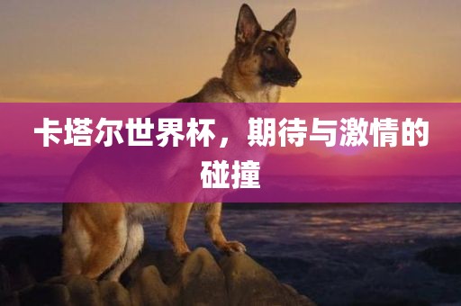 卡塔尔世界杯，期待与激情的碰撞