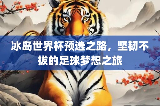 冰岛世界杯预选之路，坚韧不拔的足球梦想之旅