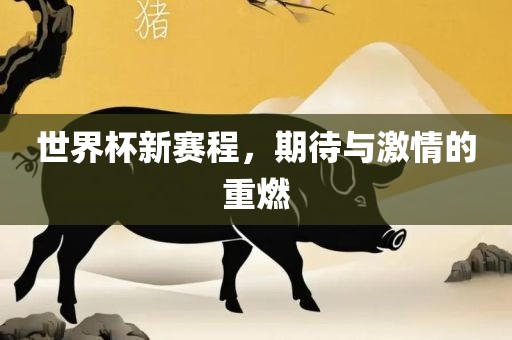 世界杯新赛程，期待与激情的重燃