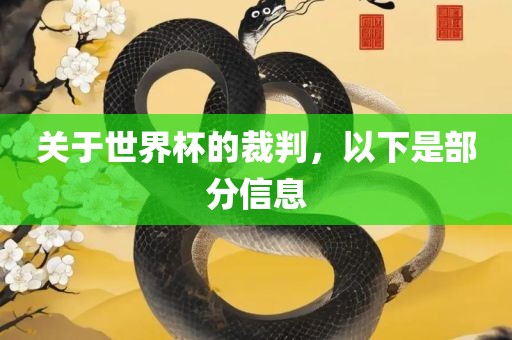 关于世界杯的裁判，以下是部分信息