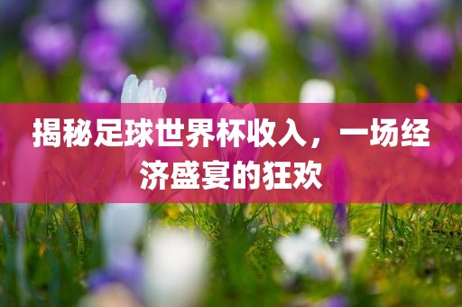 揭秘足球世界杯收入，一场经济盛宴的狂欢