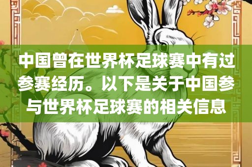 中国曾在世界杯足球赛中有过参赛经历。以下是关于中国参与世界杯足球赛的相关信息