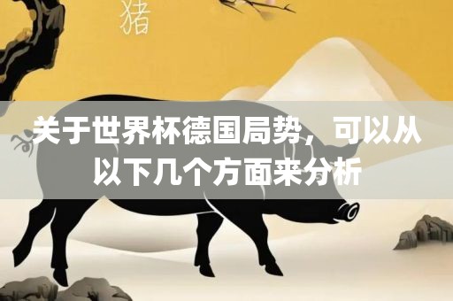 关于世界杯德国局势，可以从以下几个方面来分析