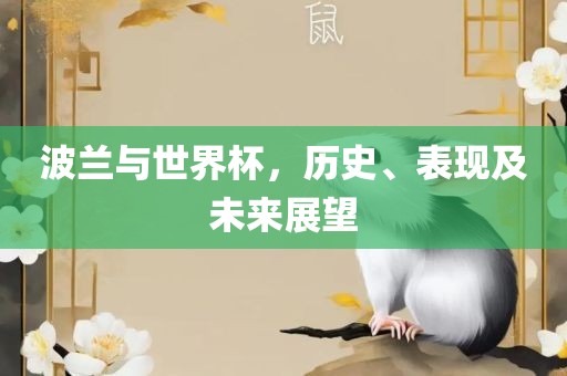 波兰与世界杯，历史、表现及未来展望