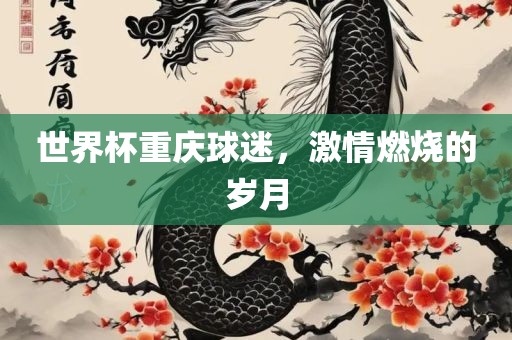 世界杯重庆球迷，激情燃烧的岁月