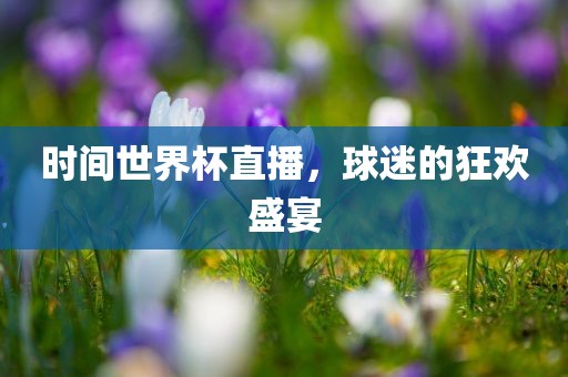 时间世界杯直播，球迷的狂欢盛宴