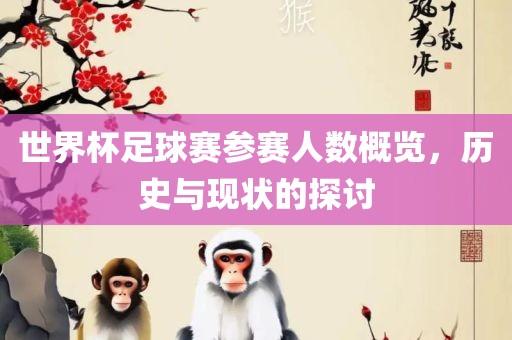 世界杯足球赛参赛人数概览，历史与现状的探讨