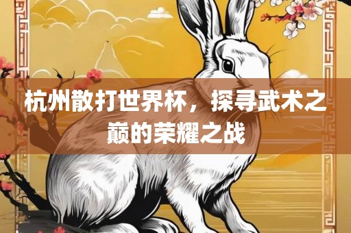 杭州散打世界杯，探寻武术之巅的荣耀之战