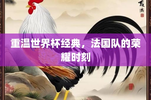 重温世界杯经典，法国队的荣耀时刻