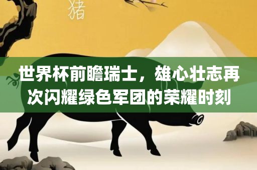 世界杯前瞻瑞士，雄心壮志再次闪耀绿色军团的荣耀时刻
