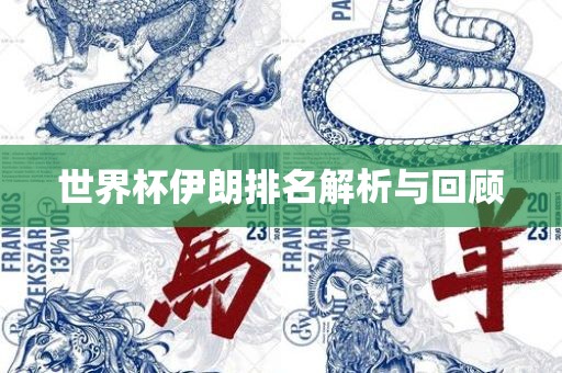 世界杯伊朗排名解析与回顾