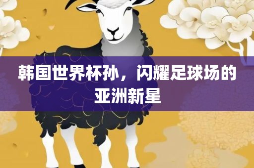 韩国世界杯孙，闪耀足球场的亚洲新星