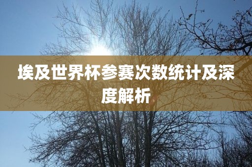埃及世界杯参赛次数统计及深度解析