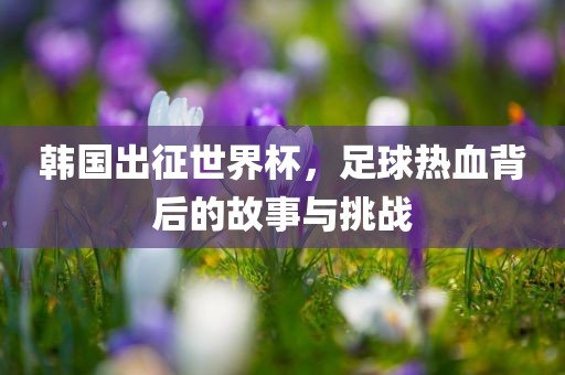 韩国出征世界杯，足球热血背后的故事与挑战