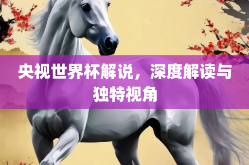 央视世界杯解说，深度解读与独特视角