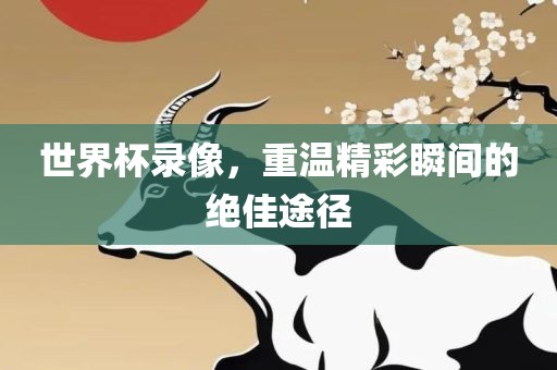 世界杯录像，重温精彩瞬间的绝佳途径