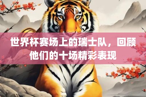 世界杯赛场上的瑞士队，回顾他们的十场精彩表现