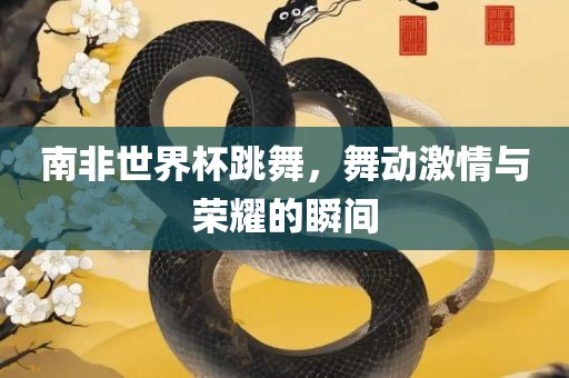 南非世界杯跳舞，舞动激情与荣耀的瞬间