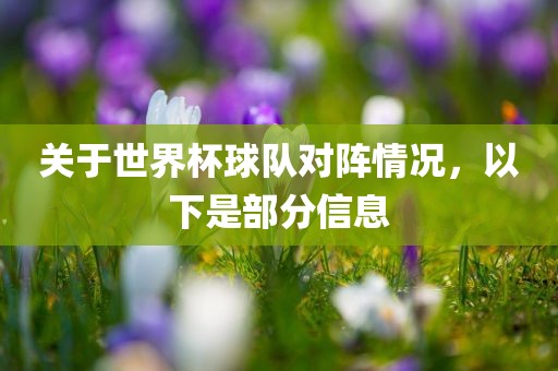 关于世界杯球队对阵情况，以下是部分信息