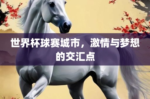 世界杯球赛城市，激情与梦想的交汇点