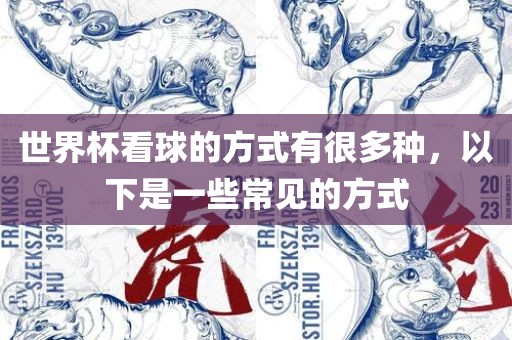 世界杯看球的方式有很多种，以下是一些常见的方式
