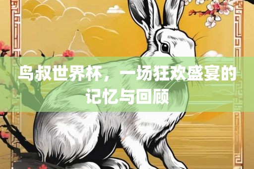 鸟叔世界杯，一场狂欢盛宴的记忆与回顾