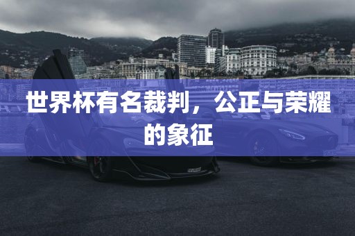 世界杯有名裁判，公正与荣耀的象征