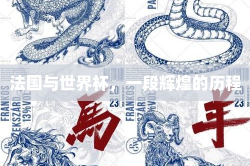 法国与世界杯，一段辉煌的历程