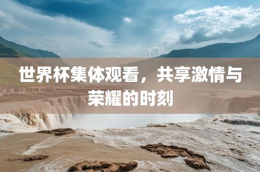 世界杯集体观看，共享激情与荣耀的时刻