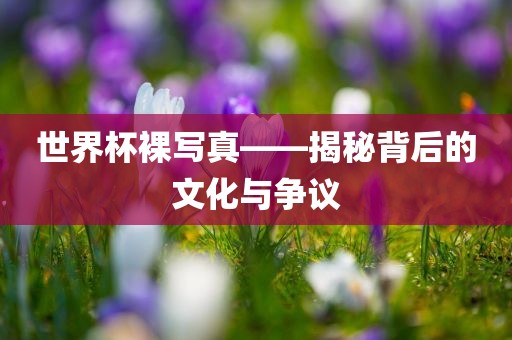 世界杯裸写真——揭秘背后的文化与争议