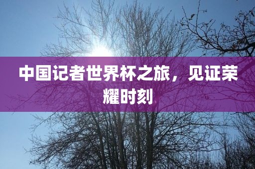 中国记者世界杯之旅，见证荣耀时刻