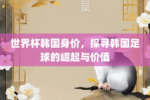 世界杯韩国身价，探寻韩国足球的崛起与价值