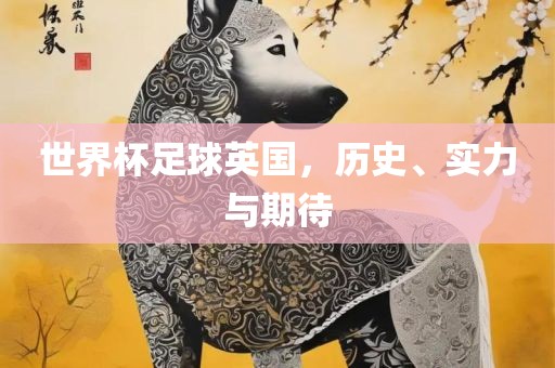 世界杯足球英国，历史、实力与期待
