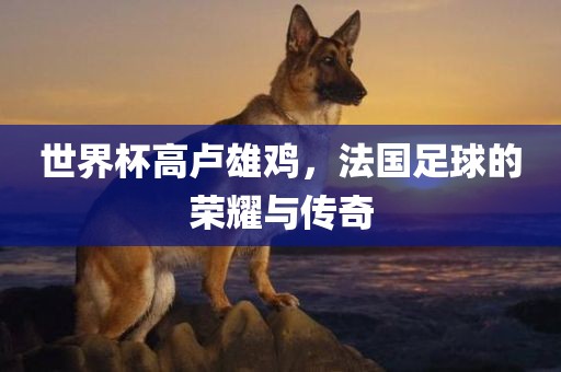 世界杯高卢雄鸡，法国足球的荣耀与传奇